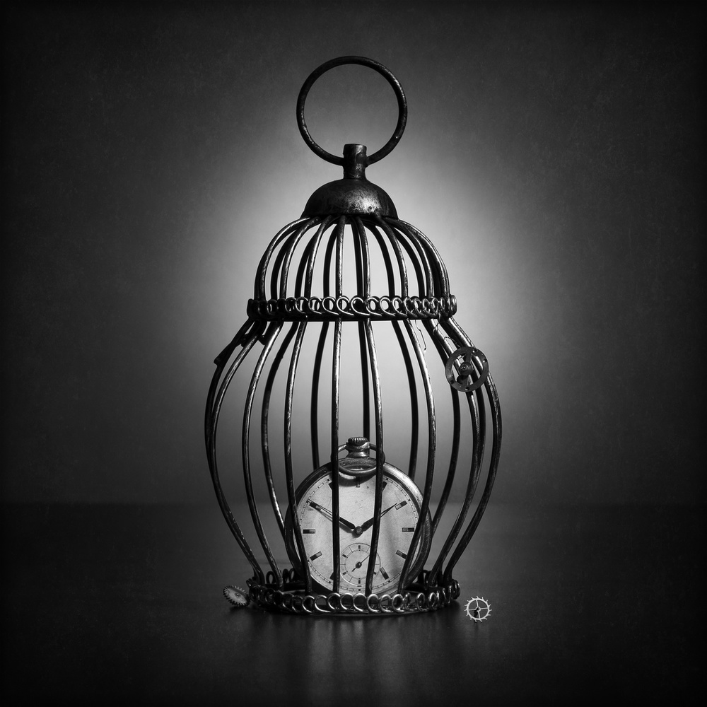 Try to stop the moment, if you can von Victoria Glinka