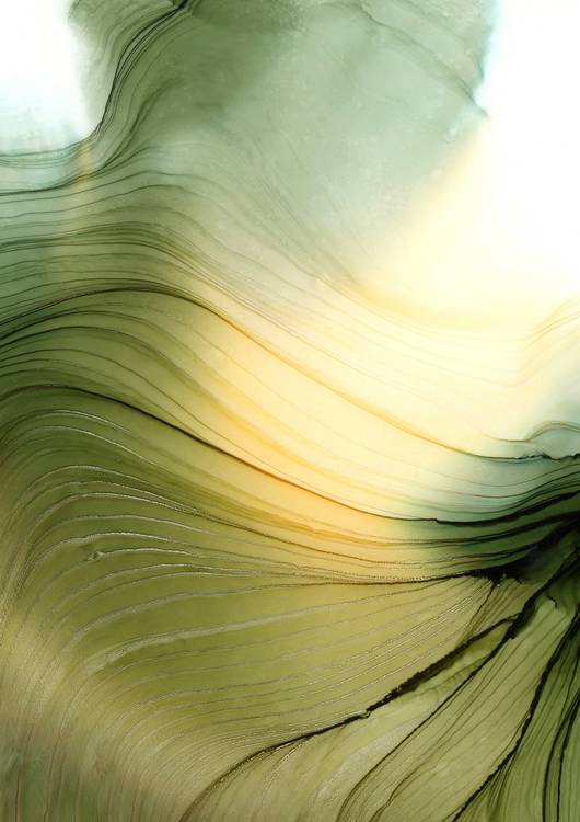 FOREST. von Victoria Hilbrecht