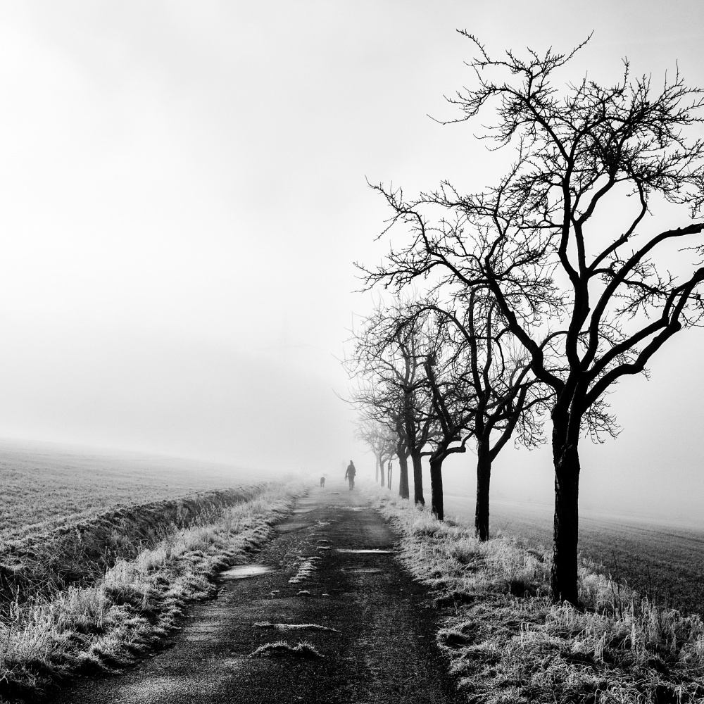 Always with you von Viktor Bauer