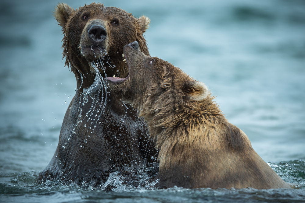 Play von Vinaya Mohan