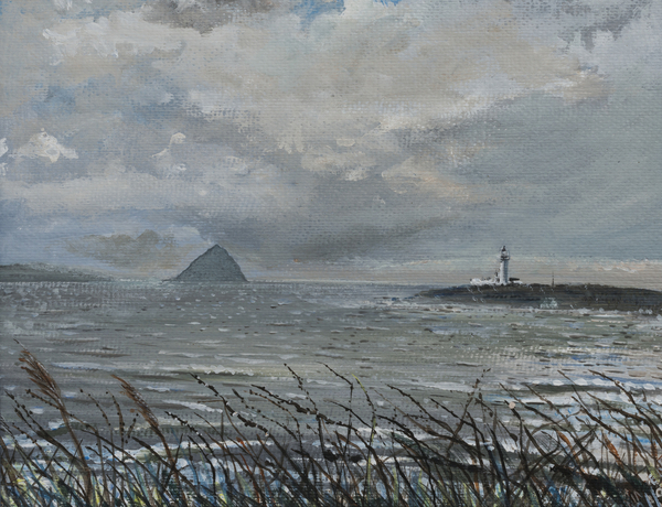 Ailsa Craig from Arran von Vincent Alexander Booth