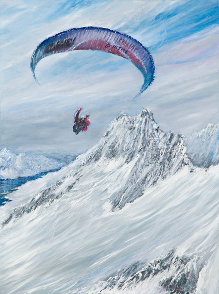 Antarctic Flier von Vincent Alexander Booth