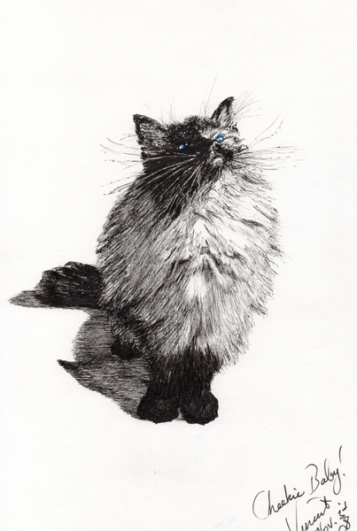 cheekie baby von Vincent Alexander Booth