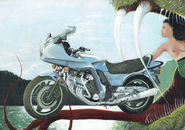 Freedom deliverance von Vincent Alexander Booth