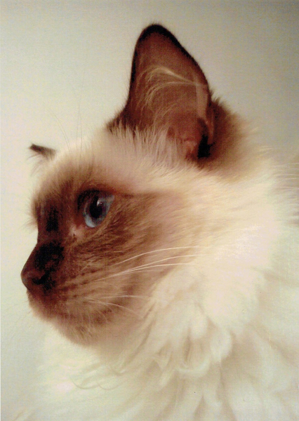 Girl (LG) von Vincent Alexander Booth