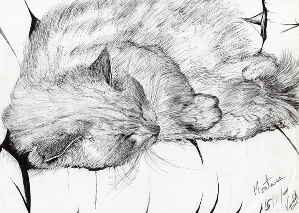 montwee von Vincent Alexander Booth