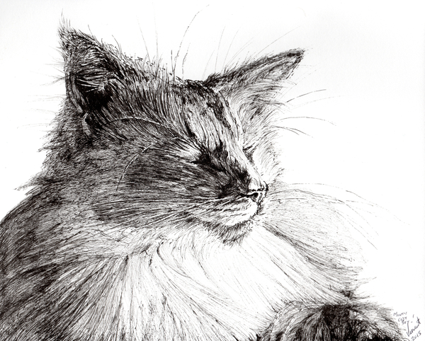 Monty cosy boy von Vincent Alexander Booth