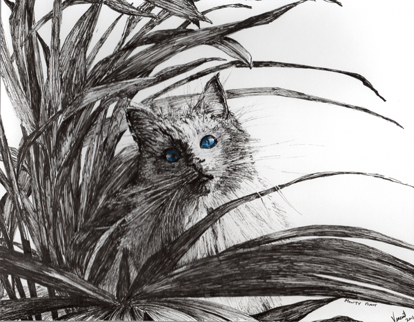 Monty plant von Vincent Alexander Booth