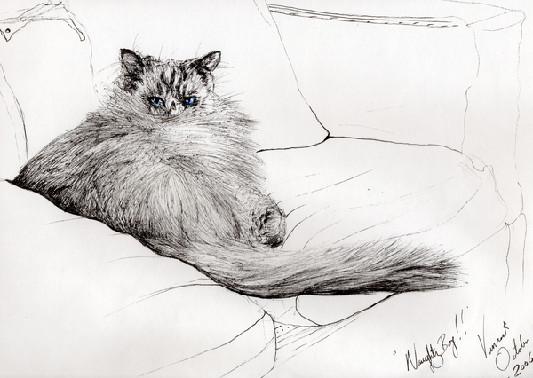 naughty boy ! von Vincent Alexander Booth