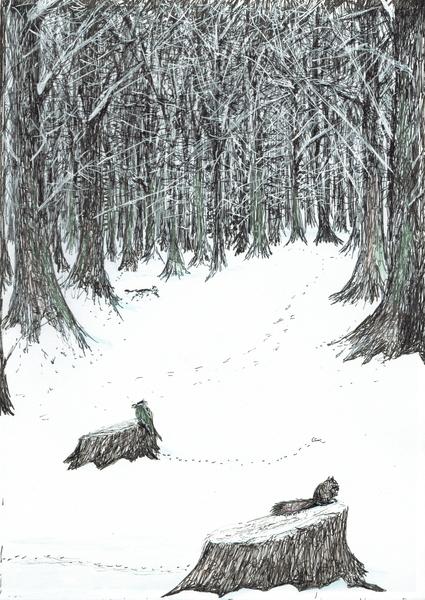 page5, The Castle in the Forest of Findhorn von Vincent Alexander Booth