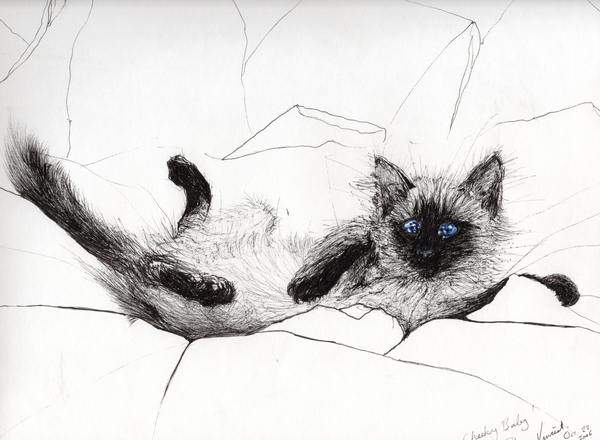 Play baby von Vincent Alexander Booth