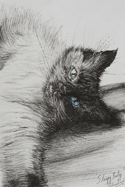 Reach von Vincent Alexander Booth