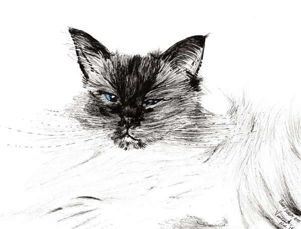 Sleepy eye von Vincent Alexander Booth