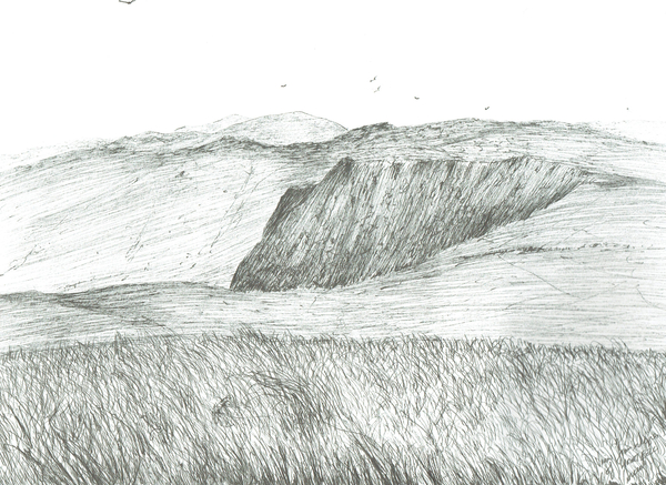 Slopes of Hartfell von Vincent Alexander Booth