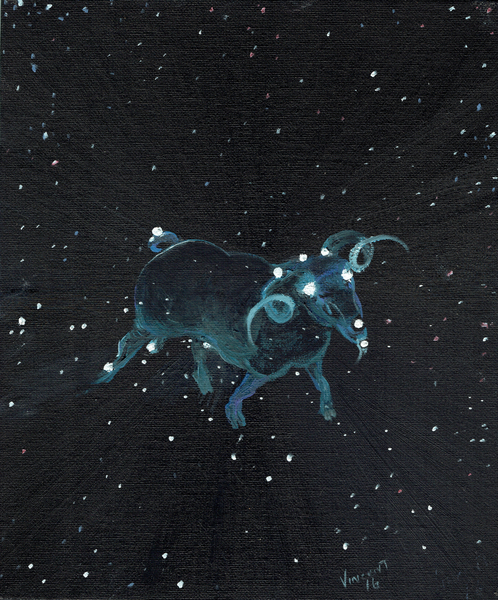 Star sign Aires von Vincent Alexander Booth