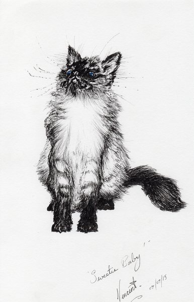 sweetie baby von Vincent Alexander Booth