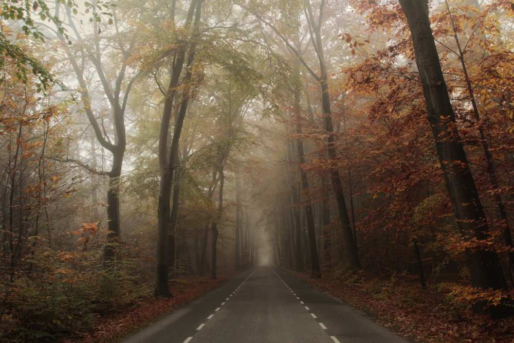 Autmnal Equinox von Vincent Croce