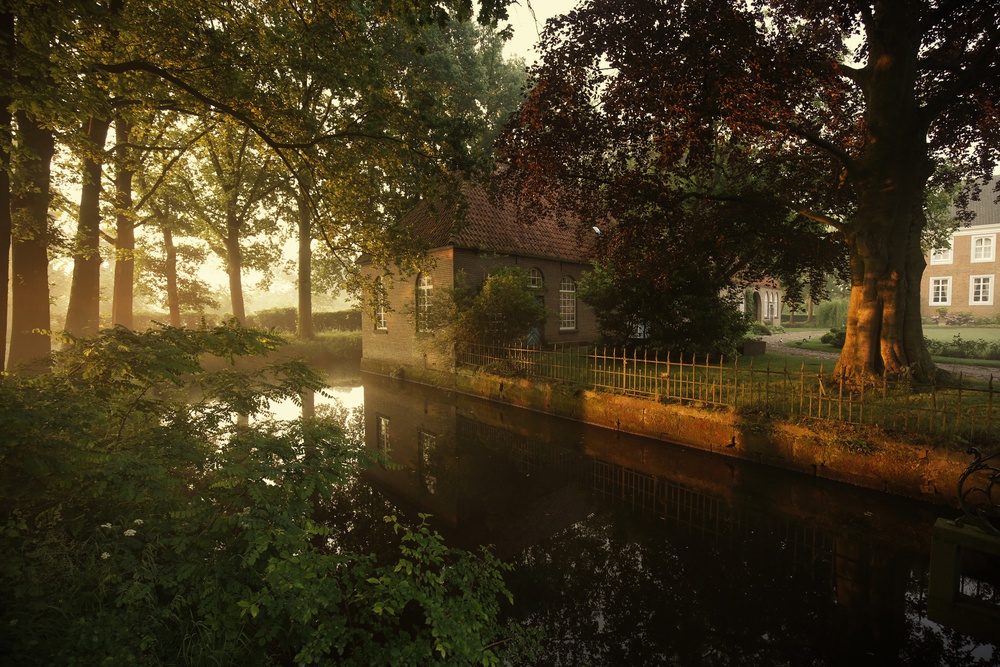 Golden wake up von Vincent Croce