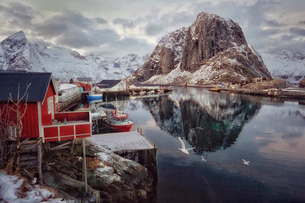 Once upon a time in the Arctic von Vincent Croce