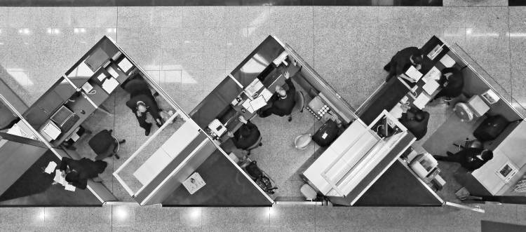 Cubicle Life von Vincent Kohar