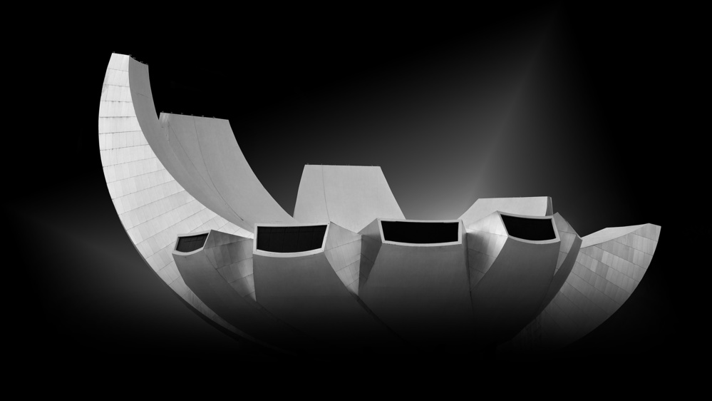 Lotus - The Welcoming Hand von Vincent Lim