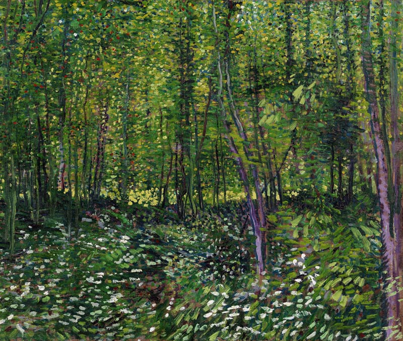 Bäume und Unterholz von Vincent van Gogh