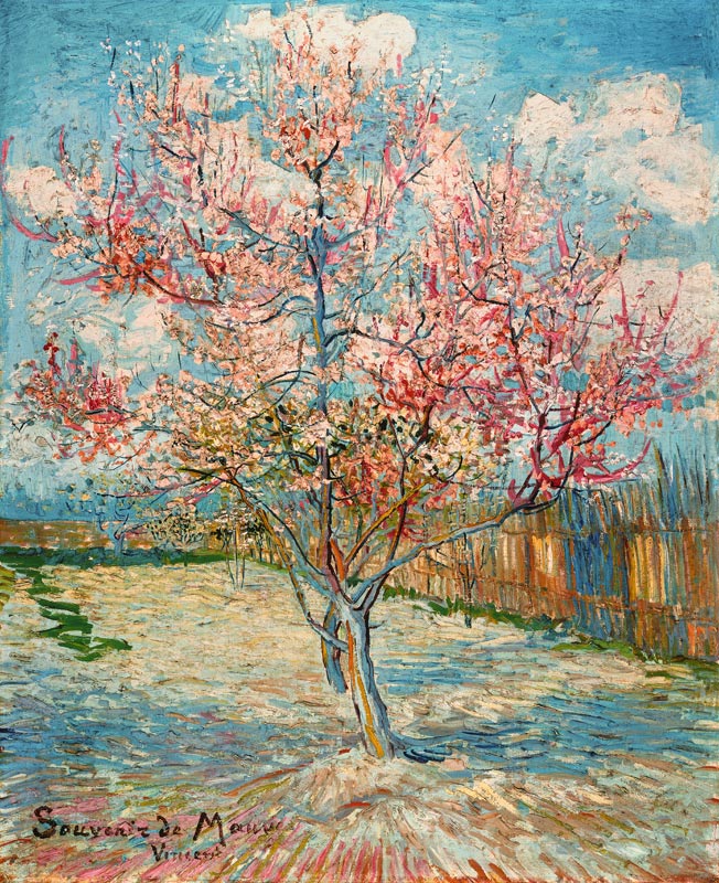 Blühende Pfirsichbäume von Vincent van Gogh
