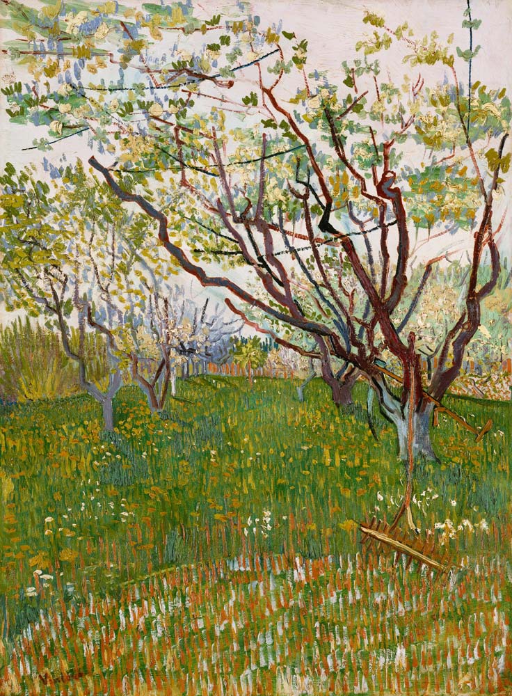 Blühender Obstgarten von Vincent van Gogh