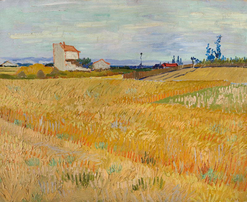 Van Gogh / Cornfield / c.1888 von Vincent van Gogh