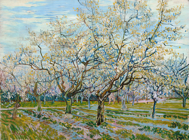 Der weiße Obstgarten von Vincent van Gogh