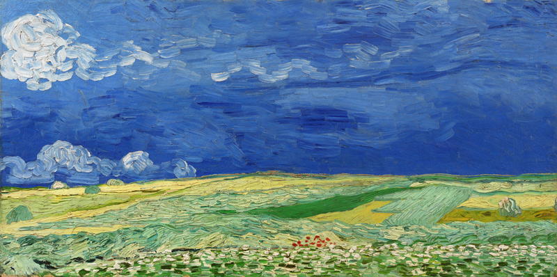 Feld unter Sturmhimmel von Vincent van Gogh