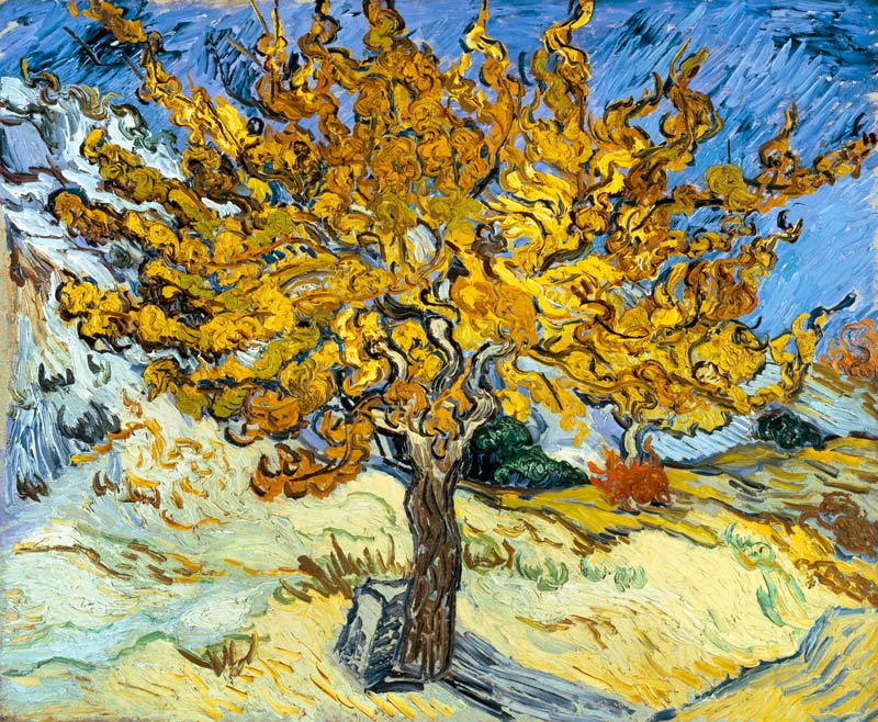 Mulberry Tree von Vincent van Gogh