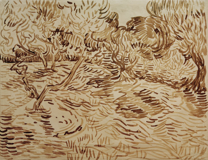V.van Gogh, Olive Grove / 1889 von Vincent van Gogh