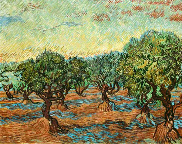 Olivenhain von Vincent van Gogh