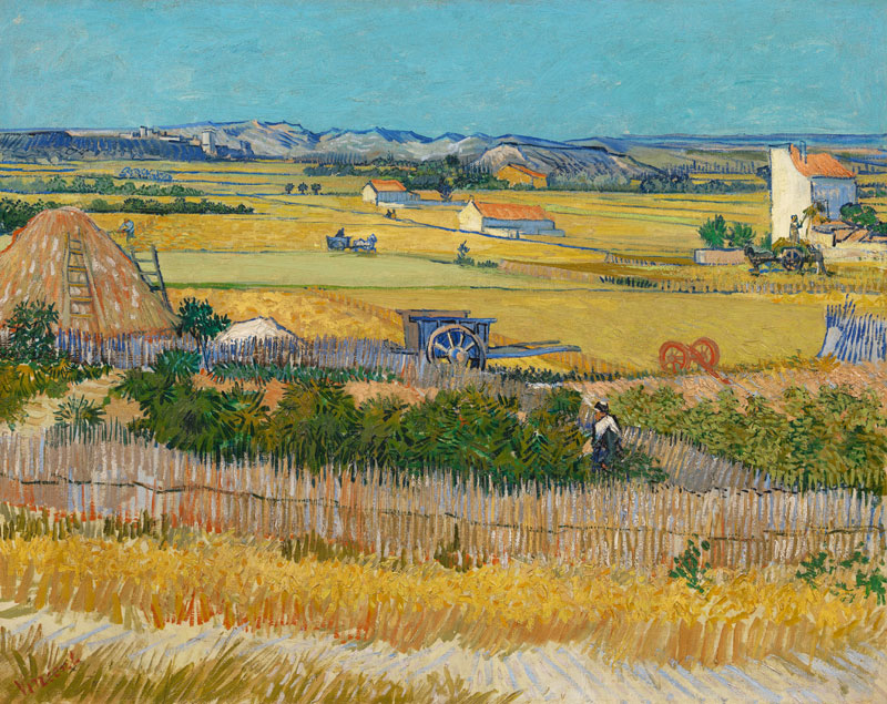 Die Ebene "La Crau" bei Arles mit Montmajour im Hintergrund von Vincent van Gogh