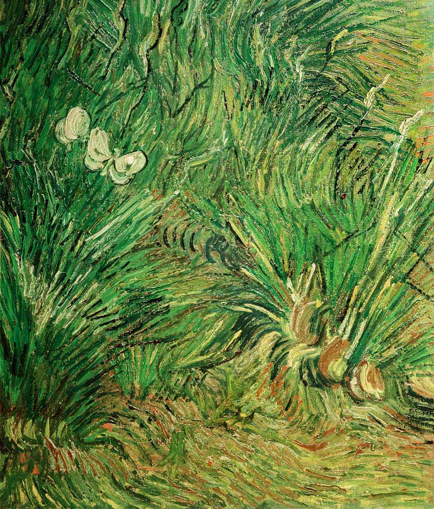 Zwei weiße Schmetterlinge von Vincent van Gogh