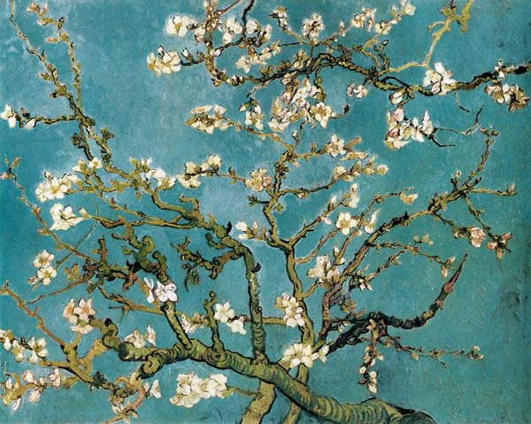 Blühende Mandelbaumzweige von Vincent van Gogh