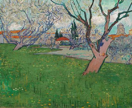 Blühender Obstgarten mit Blick auf Arles