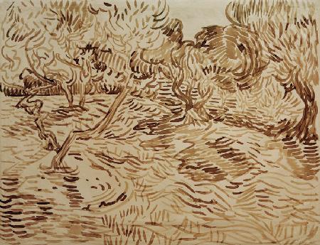 V.van Gogh, Olive Grove / 1889 1889