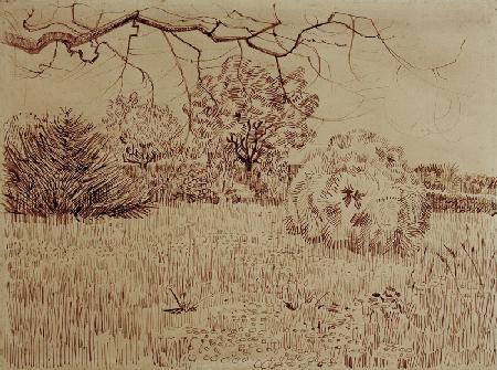 V.v.Gogh, Field w.Shrub / Drawing / 1888