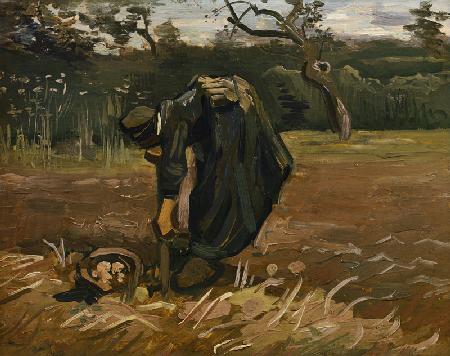 Peasant woman digging potatoes