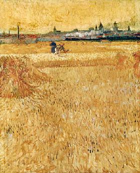 Weizenfeld mit Blick auf Arles