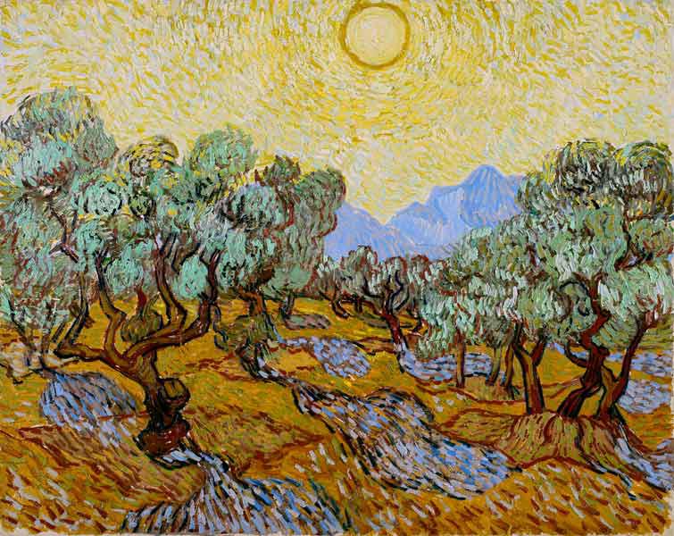 Olivenbäume mit gelbem Himmel und Sonne