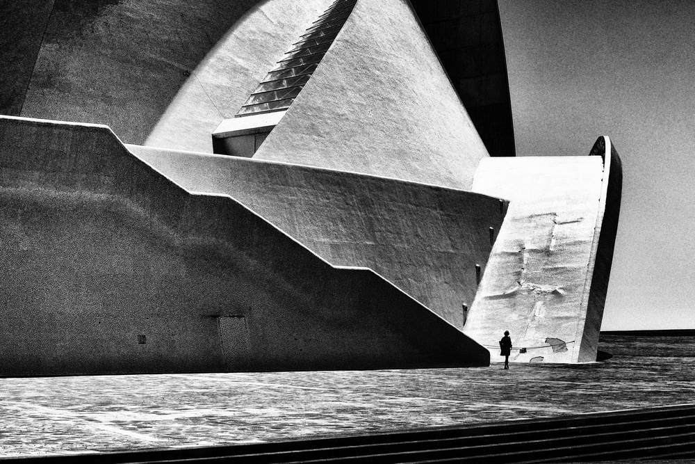 the lady von Vincenzo Pascale