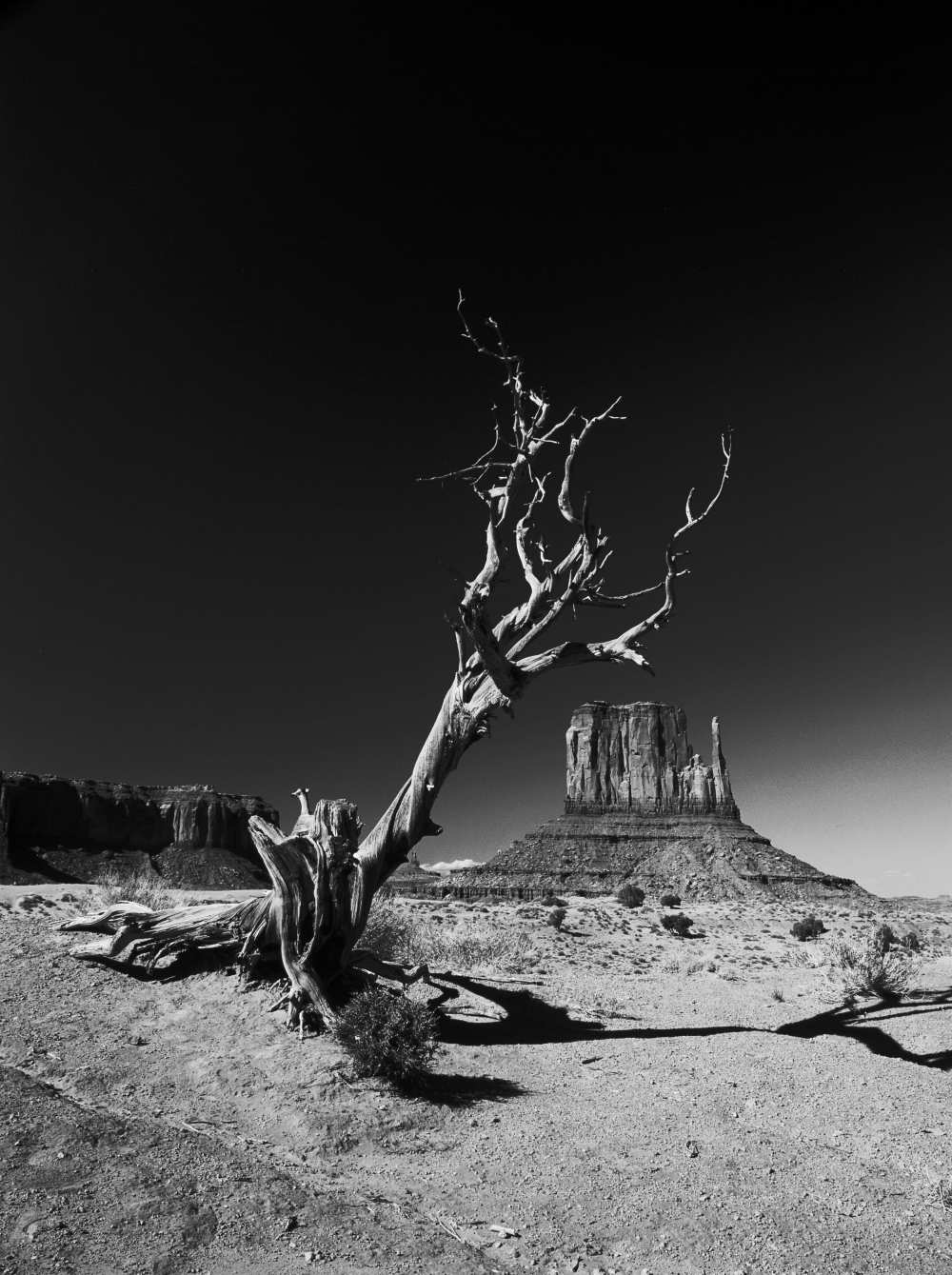monument von Vinicio Triglia