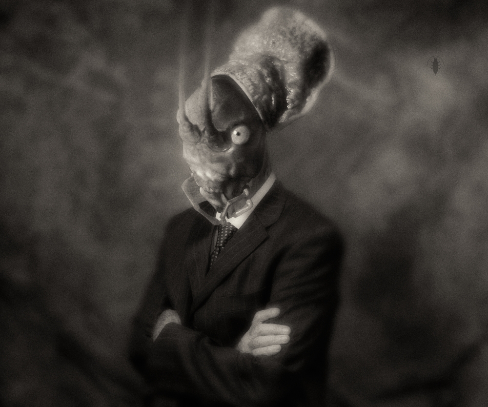 Metamorphosis von Vito Guarino