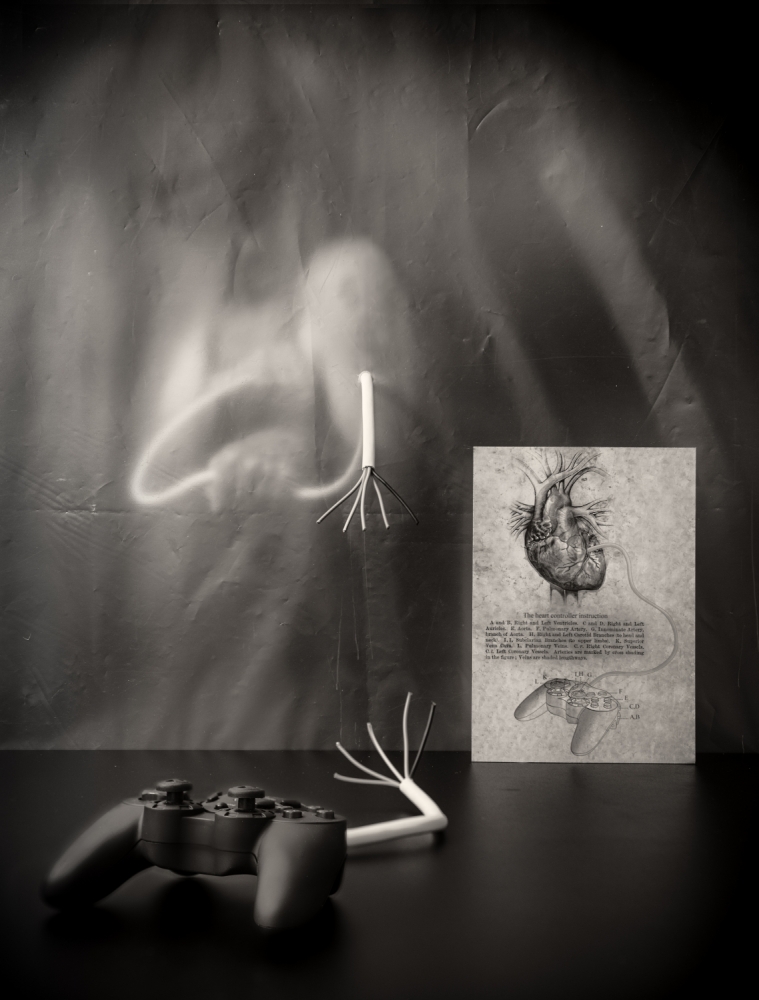 Rebel Heart von Vito Guarino