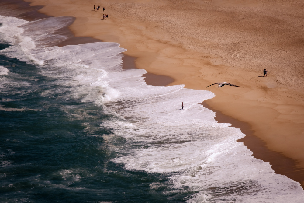 Liberi tutti von Vito Muolo