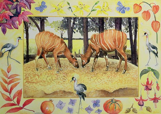 Bongo (month of October from a calendar)  von Vivika  Alexander