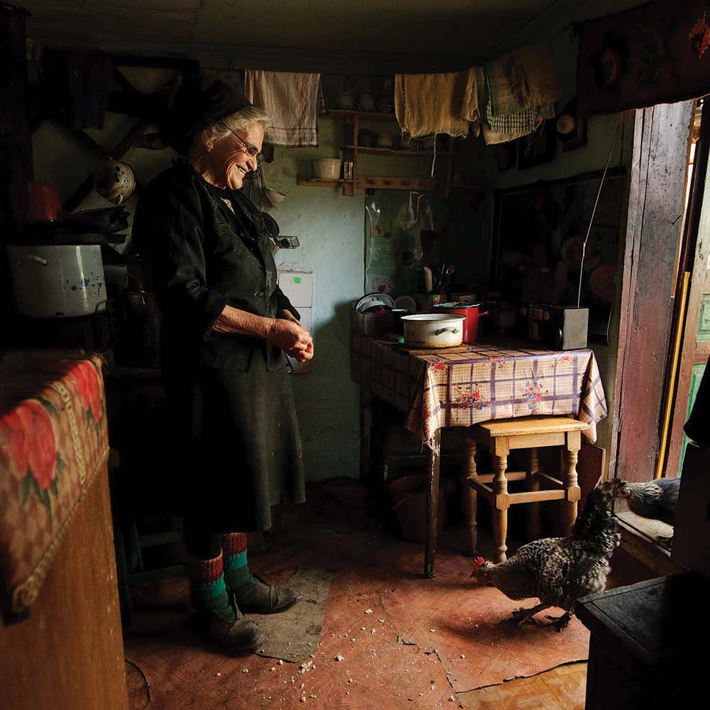 echipa de interventie (das Interventionsteam) von Vlad Dumitrescu